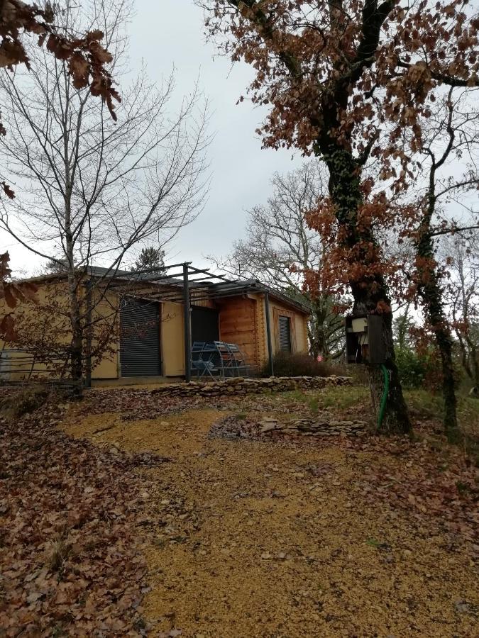 Gites Du Chene Vert Montignac-Lascaux Bilik gambar