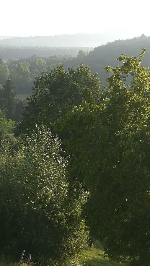 Gites Du Chene Vert Montignac-Lascaux Luaran gambar