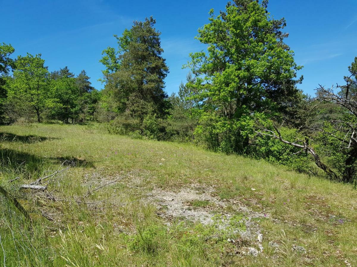 Gites Du Chene Vert Montignac-Lascaux Luaran gambar